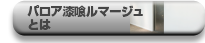 パロア漆喰ルマージュとは